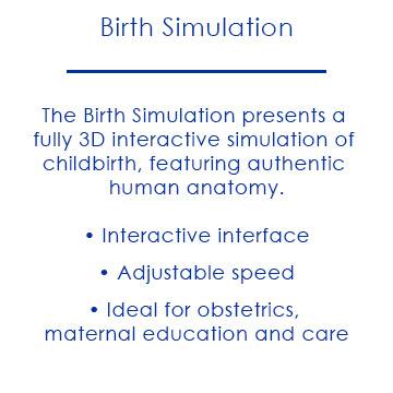 Anatomage Birth Simulation